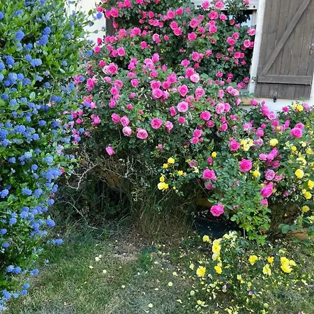 Les Mottes Couette-café 2*