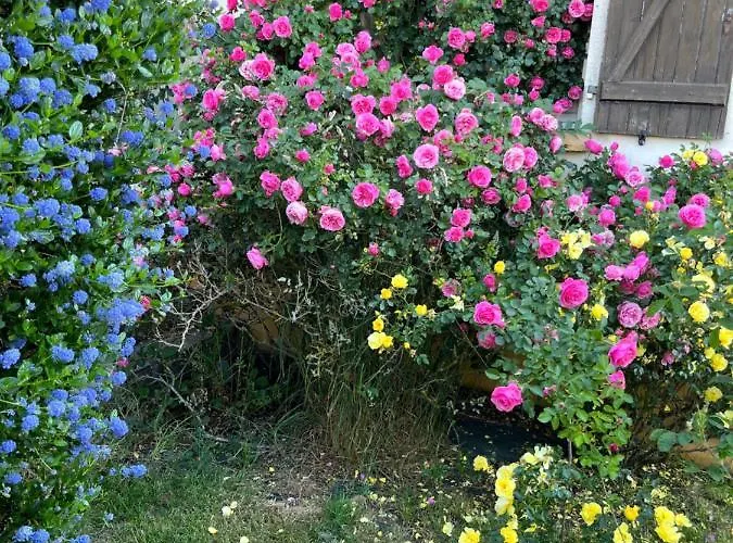 Les Mottes Couette-café 2*