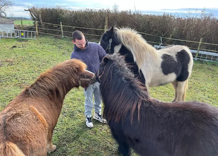 Les Mottes Couette-café 2*